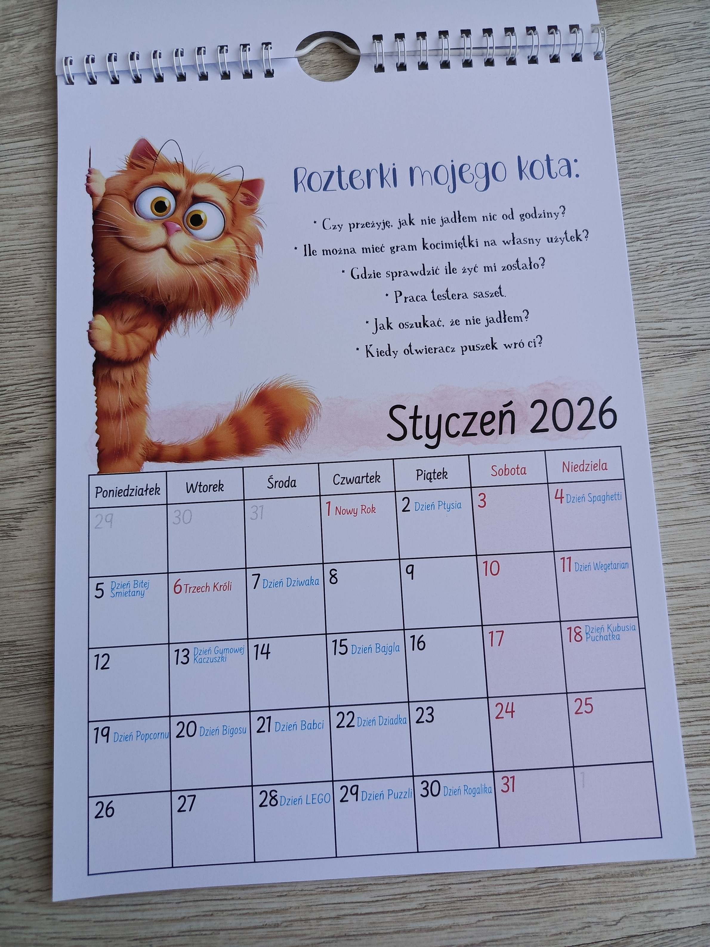 Kalendarz A4 na ścianę KOCIARZ